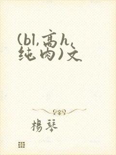 (bl,高h,纯肉)文