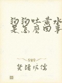 狗狗吐黄水白沫是怎么回事,该怎么办呢?