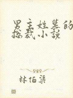 男主姓慕的所有总裁小说