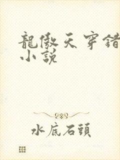 龙傲天穿错书了小说