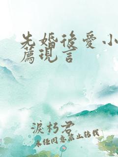 先婚后爱小说推荐现言