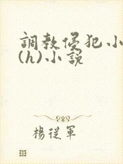 调教侵犯小男生(h)小说