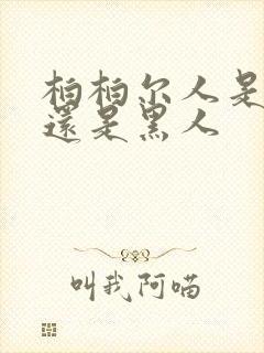 柏柏尔人是白人还是黑人