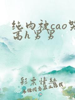 纯肉被cao哭高h男男