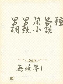 男男用各种道具调教小说