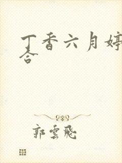 丁香六月婷婷综合