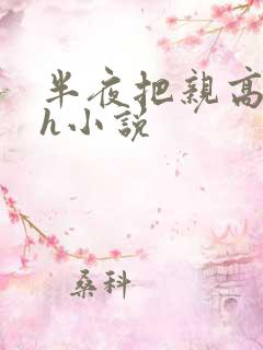 半夜把亲高潮了h小说