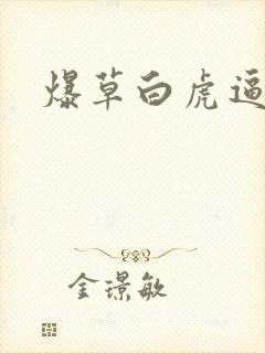 爆草白虎逼