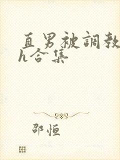 直男被调教成受h合集