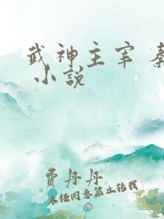 武神主宰 秦尘 小说