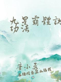九星霸体诀龙尘功法