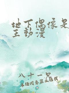 地下偶像是双男主动漫