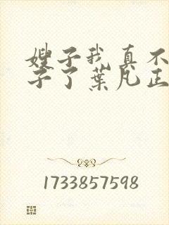 嫂子我真不是傻子了叶凡正版全文下载