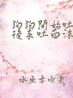 狗狗开始吐黄水后来吐白沫