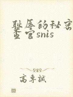 耻辱的秘密女搜查官snis