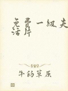 免费一级夫妻生活片