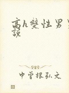 高h双性男男小说