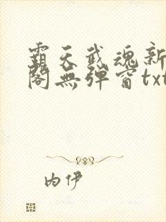 霸天武魂新笔趣阁无弹窗txt