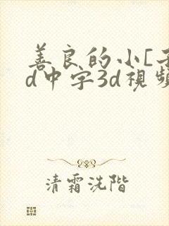 善良的小[子hd中字3d视频