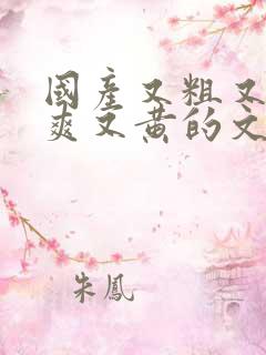 国产又粗又猛又爽又黄的文