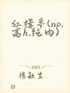 红楼梦(np,高h,纯肉)