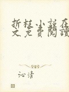 折枝小说在线全文免费阅读无弹窗