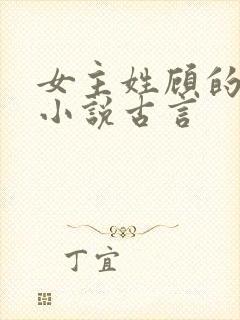 女主姓顾的重生小说古言