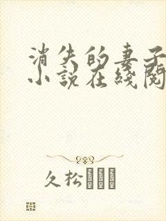 消失的妻子素素小说在线阅读