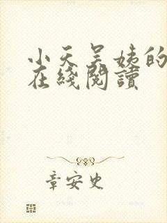 小天吴姨的小说在线阅读