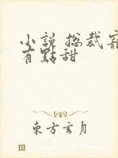 小说 总裁宠妻有点甜