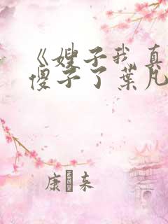 《嫂子我真不是傻子了叶凡》