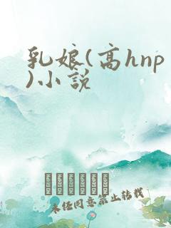 乳娘(高hnp)小说