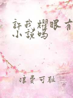 许我耀眼有原著小说吗