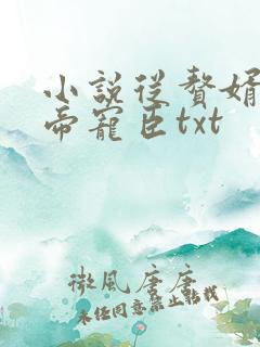 小说从赘婿到女帝宠臣txt