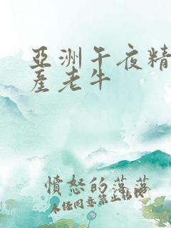 亚洲午夜精品国产老牛