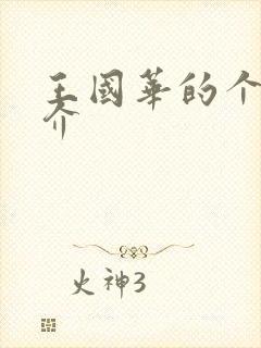 王国华的个人简介