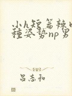小h短篇辣肉各种姿势np男男