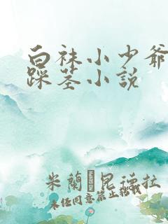 白袜小少爷光脚踩茎小说