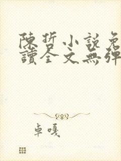 陈哲小说免费阅读全文无弹窗