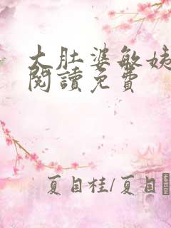 大肚婆敏姨全文阅读免费