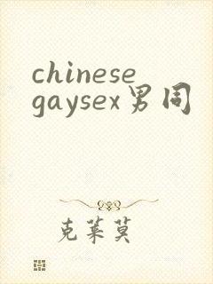 chinesegaysex男同