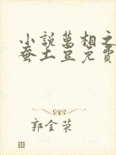 小说万相之王天蚕土豆免费全文阅读