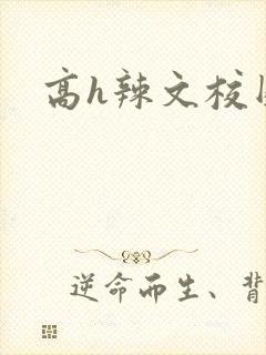 高h辣文校园h