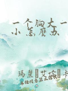 一个胸大一个胸小 怎么办