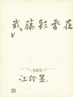 武藤彩香在线av