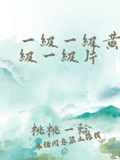 一级一级黄色一级一级片