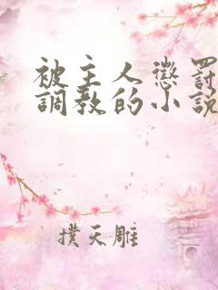 被主人惩罚玩弄调教的小说