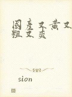 国产又黄又猛又粗又爽