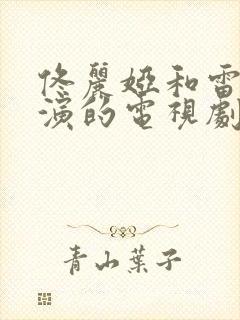 佟丽娅和雷佳音演的电视剧