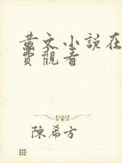 黄文小说在线免费观看